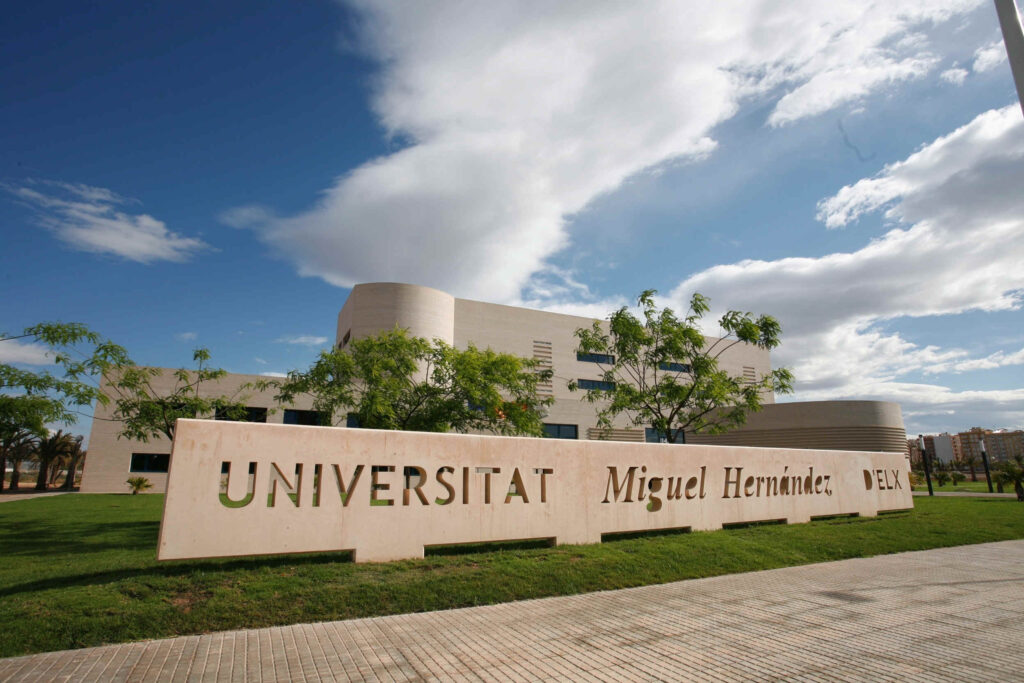 Universidad Miguel Hernández – Elche